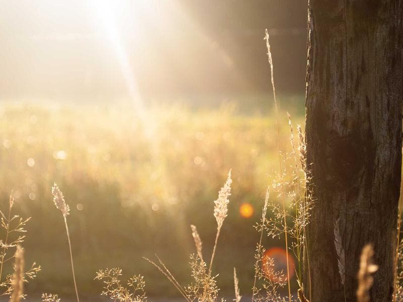 Réfection Cuisine & Bain réalisé par Leon Construct